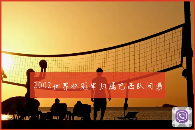 2002世界杯冠军归属巴西队问鼎