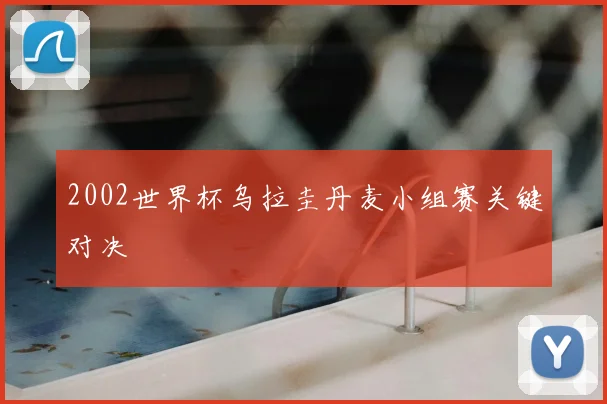2002世界杯乌拉圭丹麦小组赛关键对决