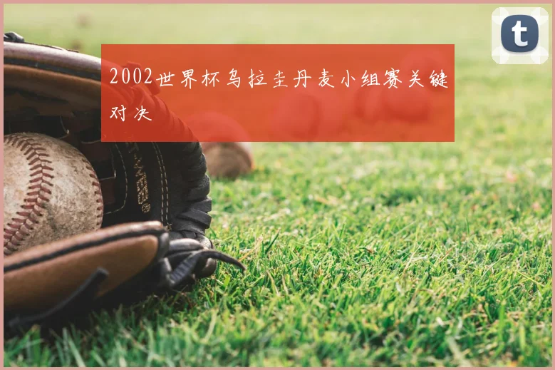 2002世界杯乌拉圭丹麦小组赛关键对决