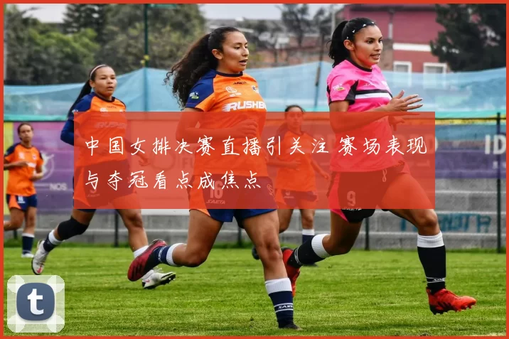 中国女排决赛直播引关注 赛场表现与夺冠看点成焦点