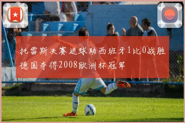 托雷斯决赛进球助西班牙1比0战胜德国夺得2008欧洲杯冠军