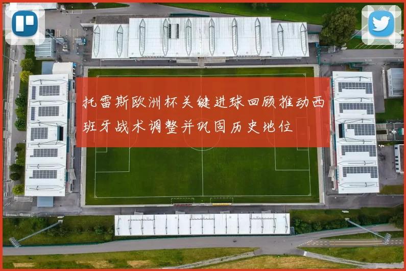 托雷斯欧洲杯关键进球回顾推动西班牙战术调整并巩固历史地位