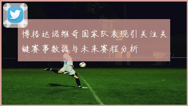 博格达诺维奇国家队表现引关注关键赛事数据与未来赛程分析